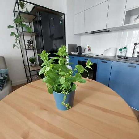 Apartament Zajezdnia Wrzeszcz *